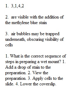 Lab Exercise 2